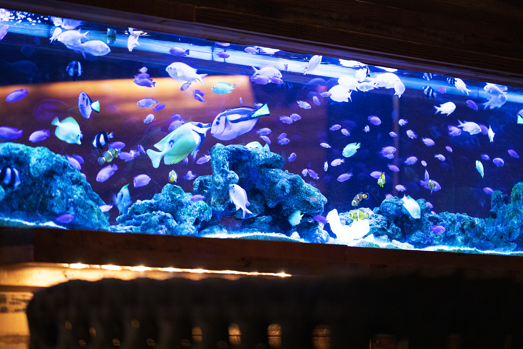 新宿 ライム オペレーションファクトリー 飲食事業の企画 運営 コンサルティング プロデュース